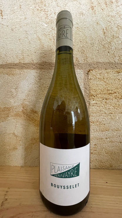 Bouysselet rare white grape from South West region in France